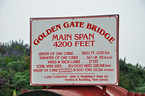 The Living Roof - California Academy of Sciences